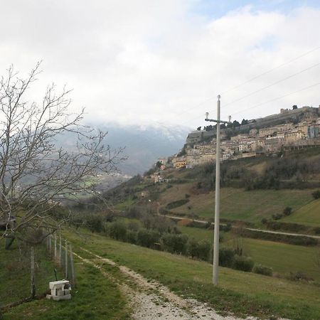 B&B La Collina Degli Uliviチヴィテッラ・デル・トロント エクステリア 写真